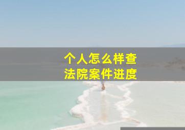 个人怎么样查法院案件进度