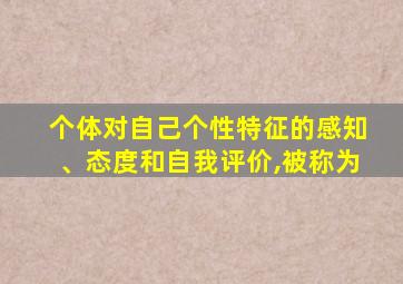 个体对自己个性特征的感知、态度和自我评价,被称为