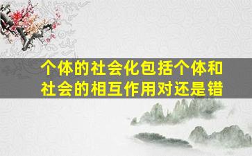 个体的社会化包括个体和社会的相互作用对还是错