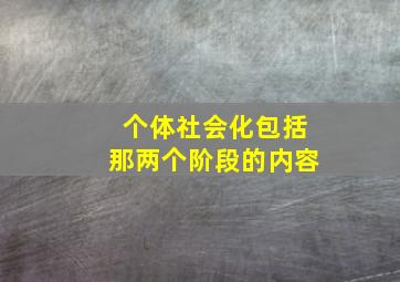 个体社会化包括那两个阶段的内容