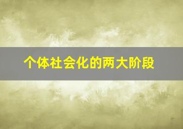 个体社会化的两大阶段