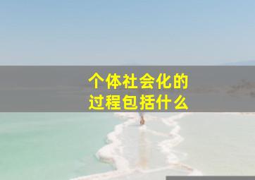 个体社会化的过程包括什么