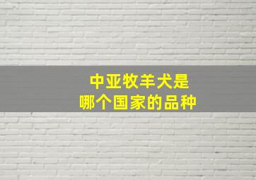 中亚牧羊犬是哪个国家的品种