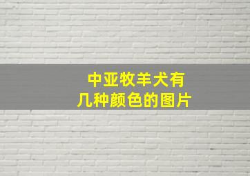 中亚牧羊犬有几种颜色的图片