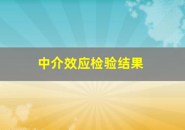 中介效应检验结果