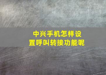 中兴手机怎样设置呼叫转接功能呢