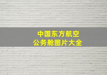 中国东方航空公务舱图片大全