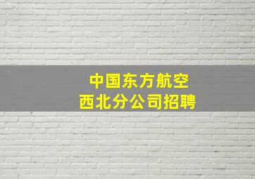 中国东方航空西北分公司招聘