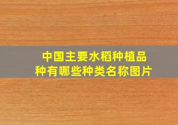 中国主要水稻种植品种有哪些种类名称图片