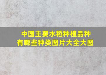 中国主要水稻种植品种有哪些种类图片大全大图