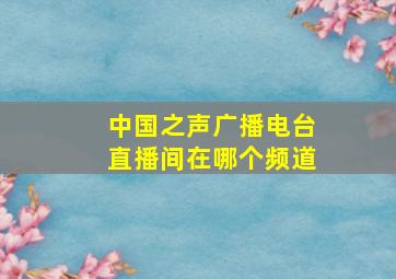 中国之声广播电台直播间在哪个频道