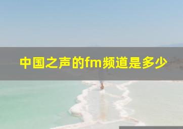 中国之声的fm频道是多少