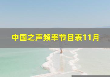 中国之声频率节目表11月