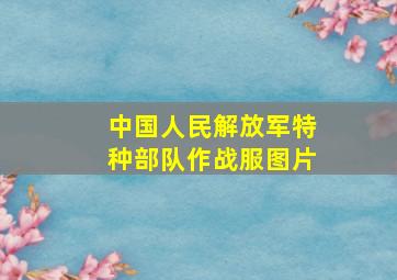 中国人民解放军特种部队作战服图片