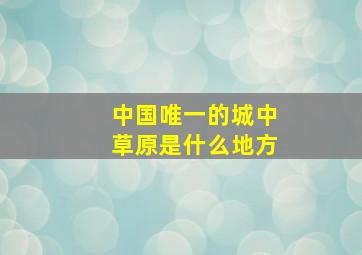 中国唯一的城中草原是什么地方