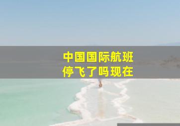 中国国际航班停飞了吗现在