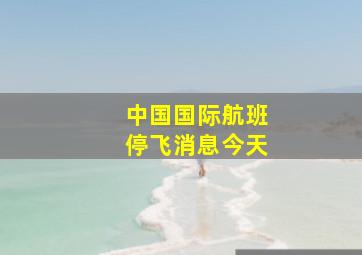 中国国际航班停飞消息今天