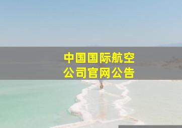 中国国际航空公司官网公告