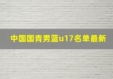 中国国青男篮u17名单最新