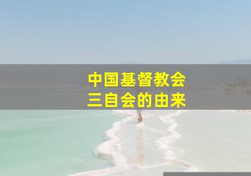 中国基督教会三自会的由来