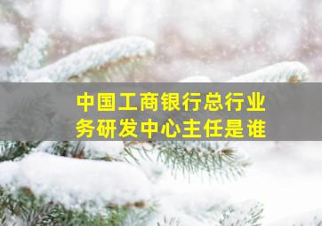 中国工商银行总行业务研发中心主任是谁