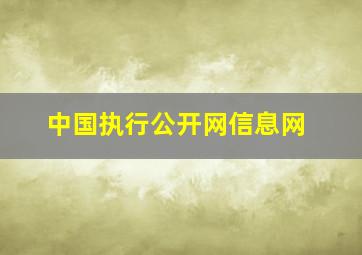 中国执行公开网信息网