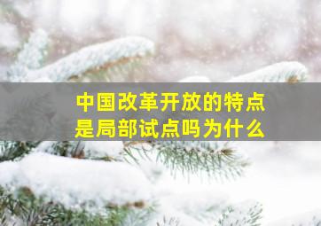 中国改革开放的特点是局部试点吗为什么