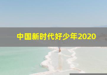 中国新时代好少年2020