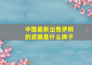 中国最新出售伊朗的武器是什么牌子