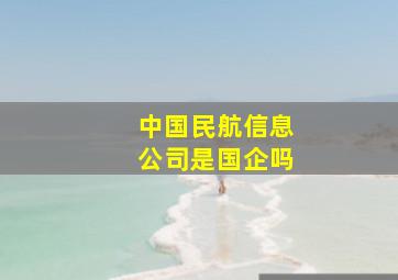 中国民航信息公司是国企吗