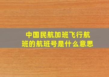 中国民航加班飞行航班的航班号是什么意思