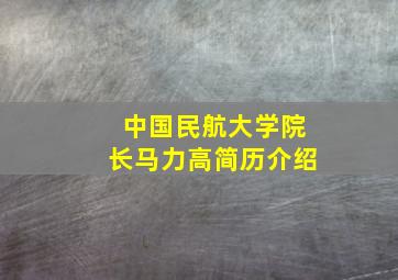 中国民航大学院长马力高简历介绍