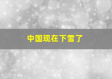 中国现在下雪了