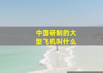 中国研制的大型飞机叫什么