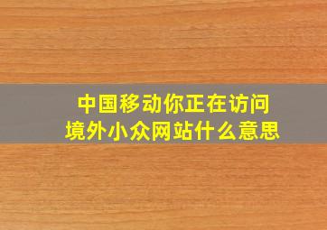 中国移动你正在访问境外小众网站什么意思