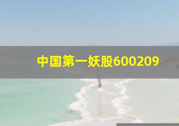 中国第一妖股600209