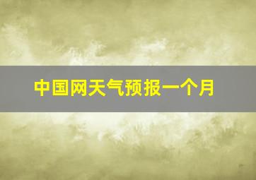 中国网天气预报一个月