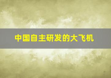 中国自主研发的大飞机