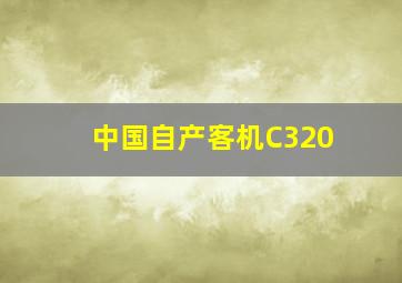 中国自产客机C320