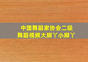 中国舞蹈家协会二级舞蹈视频大脚丫小脚丫