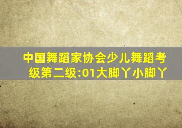 中国舞蹈家协会少儿舞蹈考级第二级:01大脚丫小脚丫