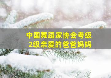 中国舞蹈家协会考级2级亲爱的爸爸妈妈