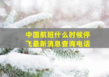 中国航班什么时候停飞最新消息查询电话