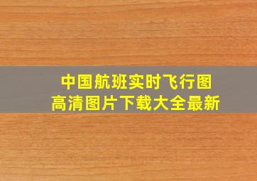 中国航班实时飞行图高清图片下载大全最新