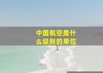 中国航空是什么级别的单位