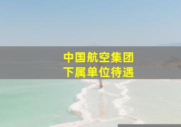 中国航空集团下属单位待遇