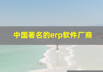 中国著名的erp软件厂商