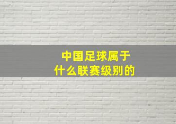 中国足球属于什么联赛级别的