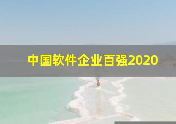 中国软件企业百强2020