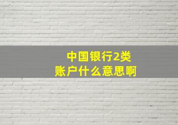 中国银行2类账户什么意思啊